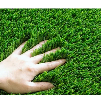 Grass
