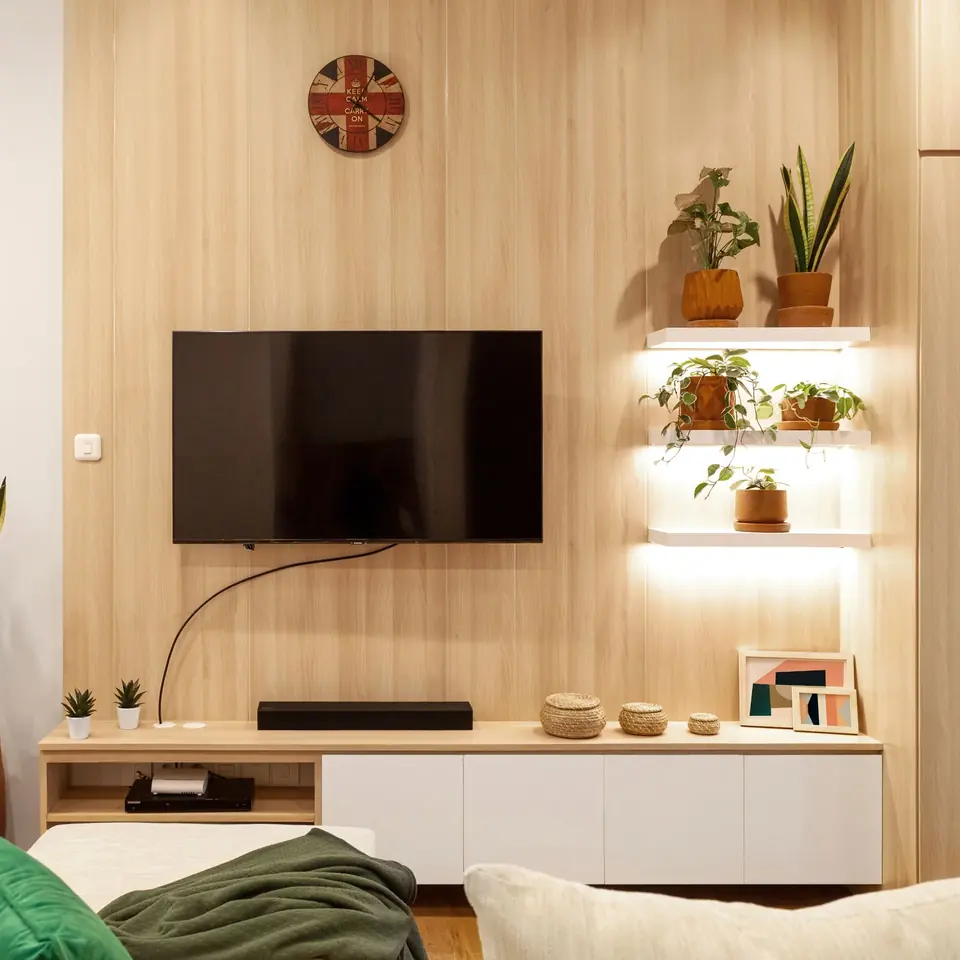 Wall-mounted TV with wooden shelving and potted plants